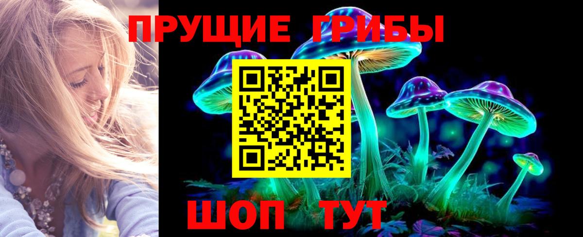 Псилоцибиновые грибы Psilocybine cubensis  Вход с VPN  Псилоцибиновые грибы Cubensis  Кудрово 